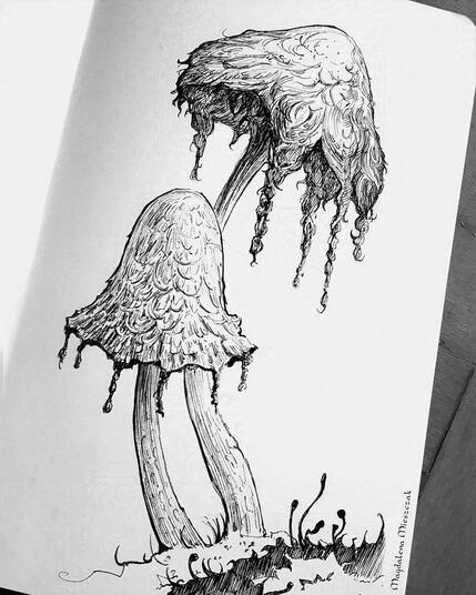 Weeping mushrooms